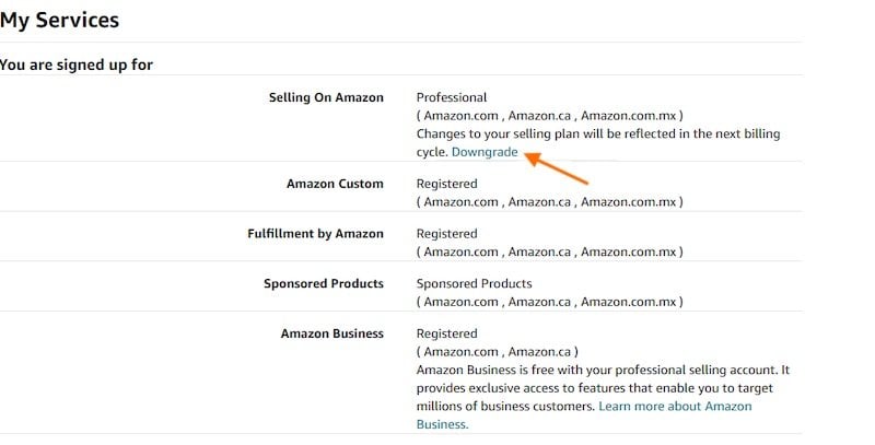 Downgrade amazon professional selling account